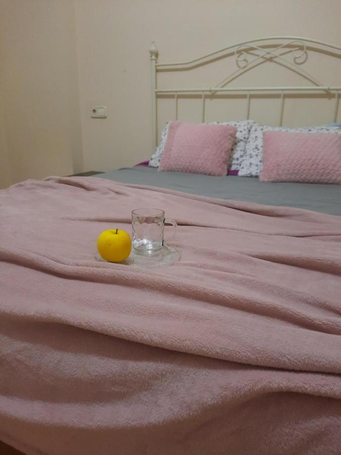 Bem Acogedora Y Muy Centrica Apartment Zamora